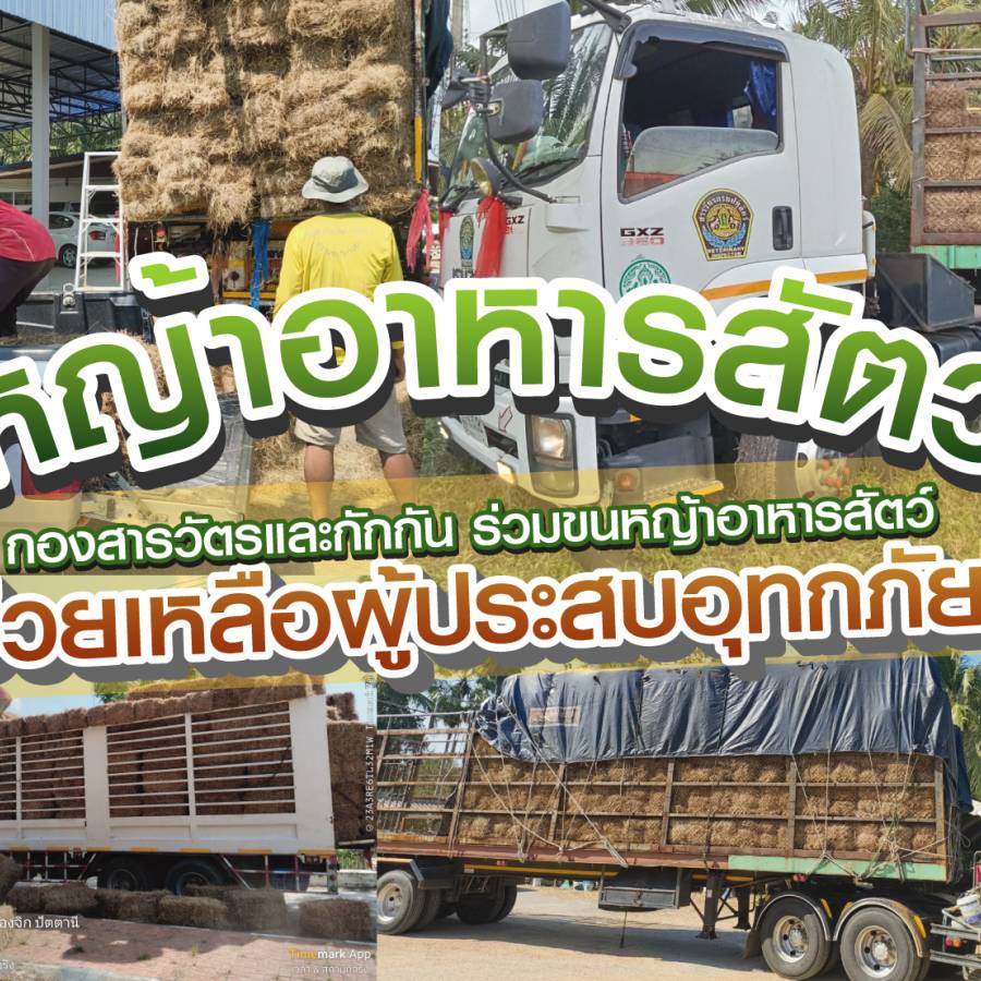 กองสารวัตรและกักกัน ปฏิบัติภาระกิจ เพื่อช่วยเหลือและบรรเทาทุกข์ผู้ประสบอุทกภัย