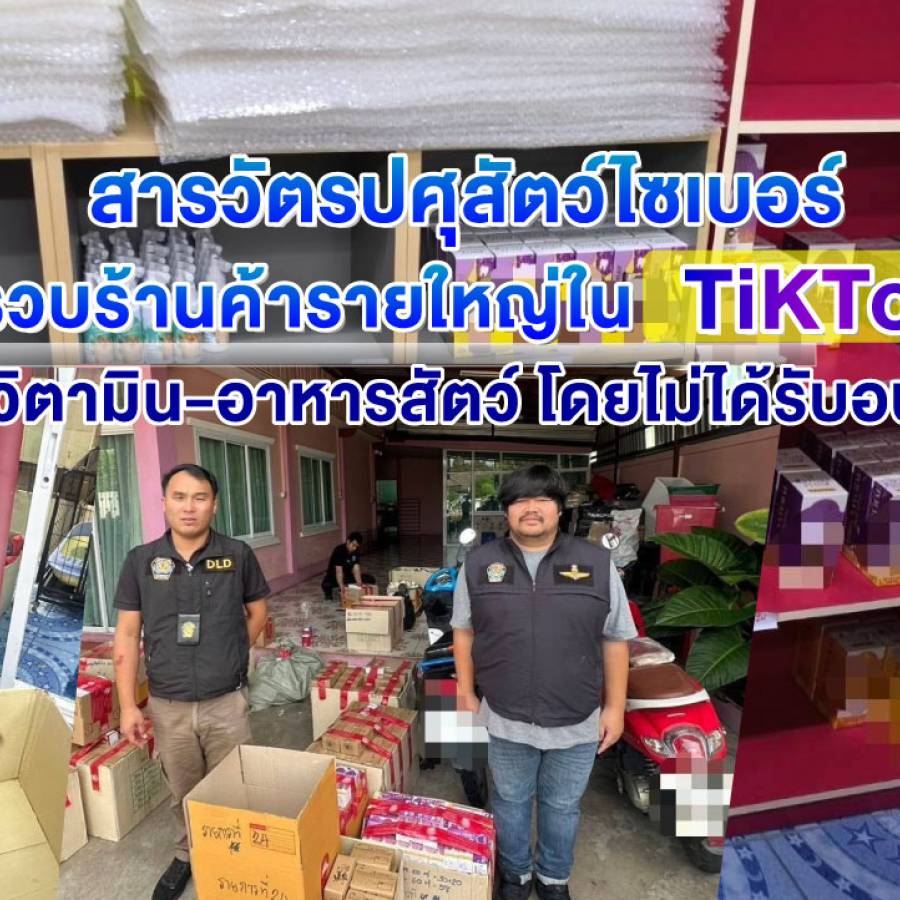 สารวัตรปศุสัตว์ไซเบอร์ รวบร้านค้ารายใหญ่ใน TikTok ขายวิตามิน-อาหารสัตว์ โดยไม่ได้รับอนุญาต